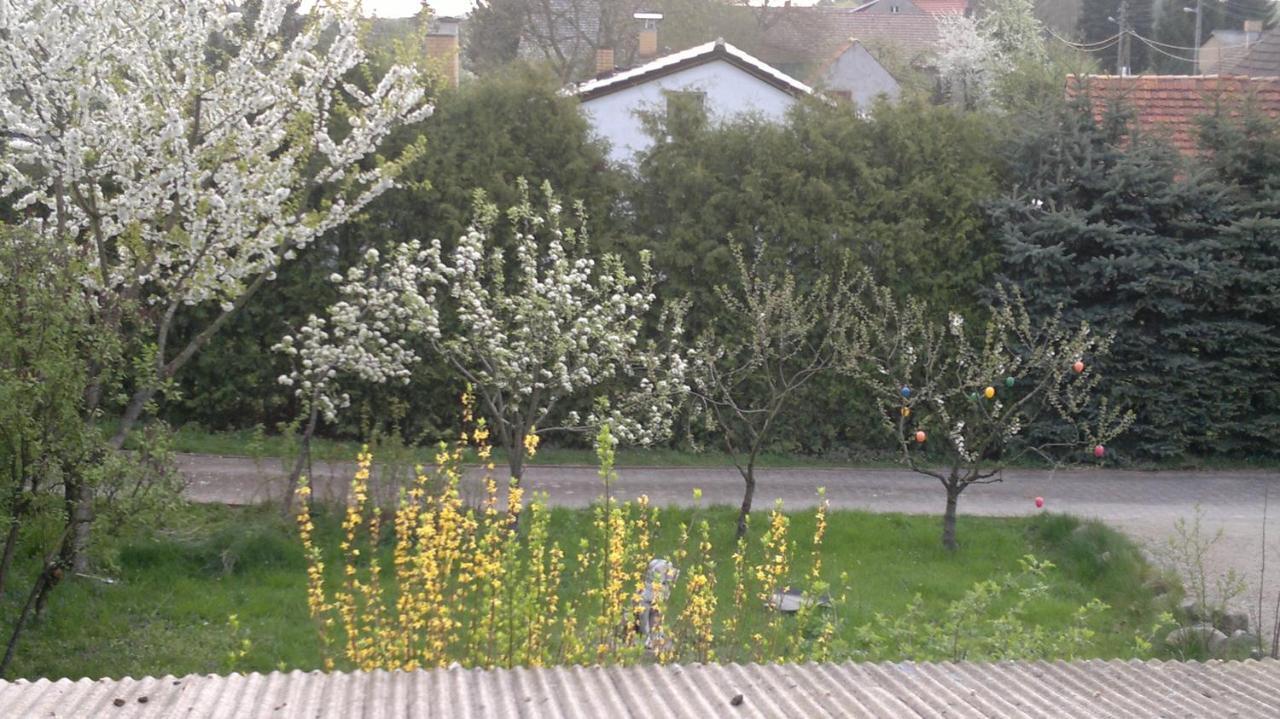 Restaurant Pension Lubusch Gahro Exterior foto